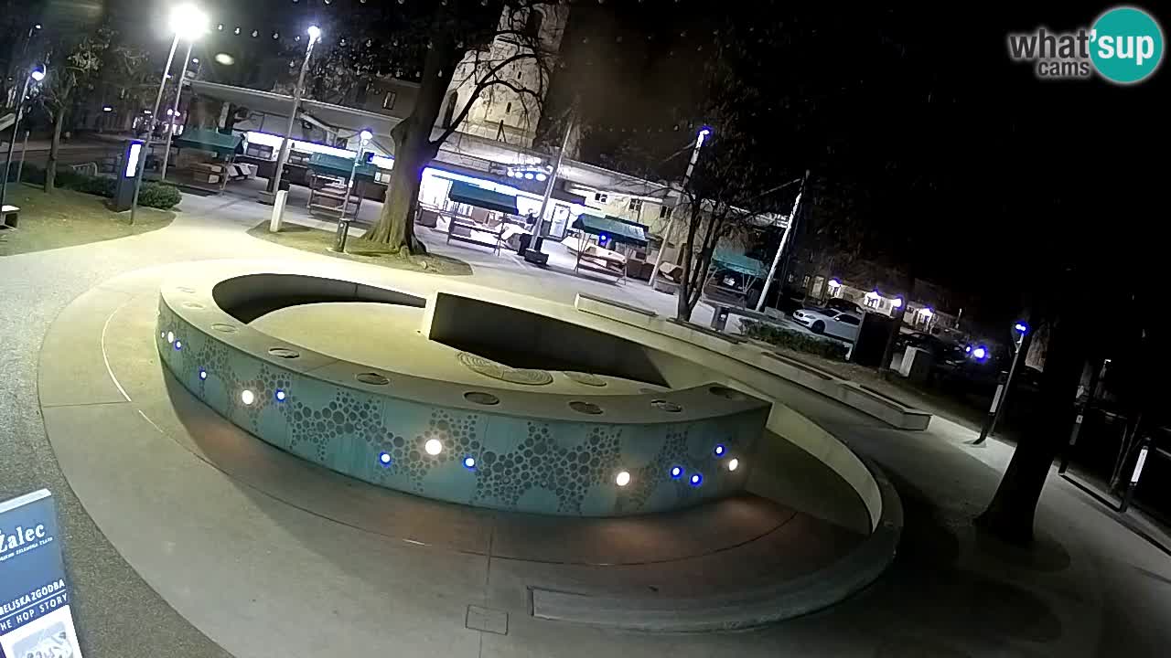 Fontana di birra Webcam – Oro verde – Žalec