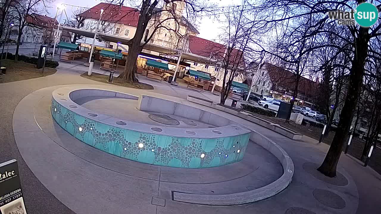 Spletna kamera Fontana Piv – Zeleno zlato Žalec