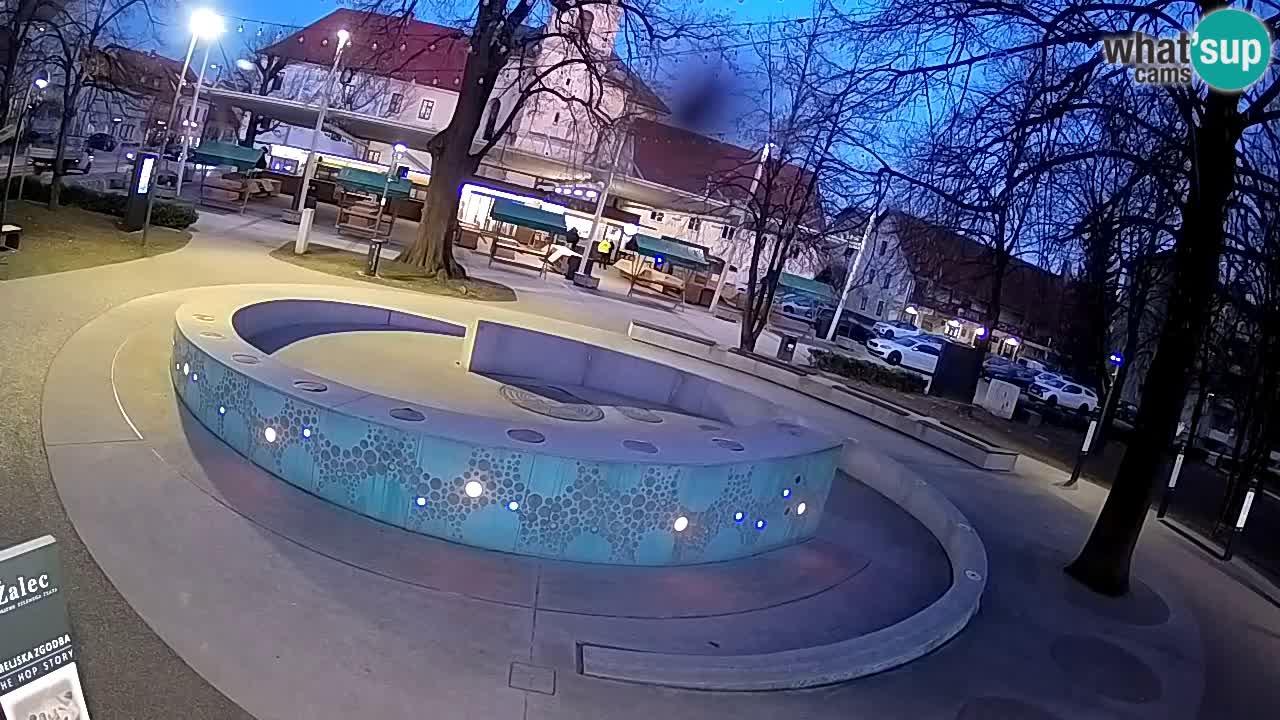 Spletna kamera Fontana Piv – Zeleno zlato Žalec