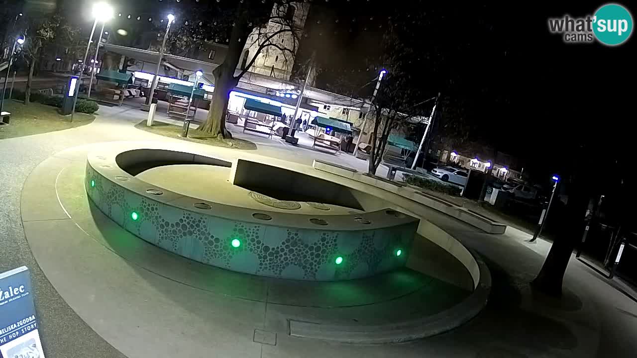 Camera en vivo Fuente de cerveza – Oro verde – Žalec