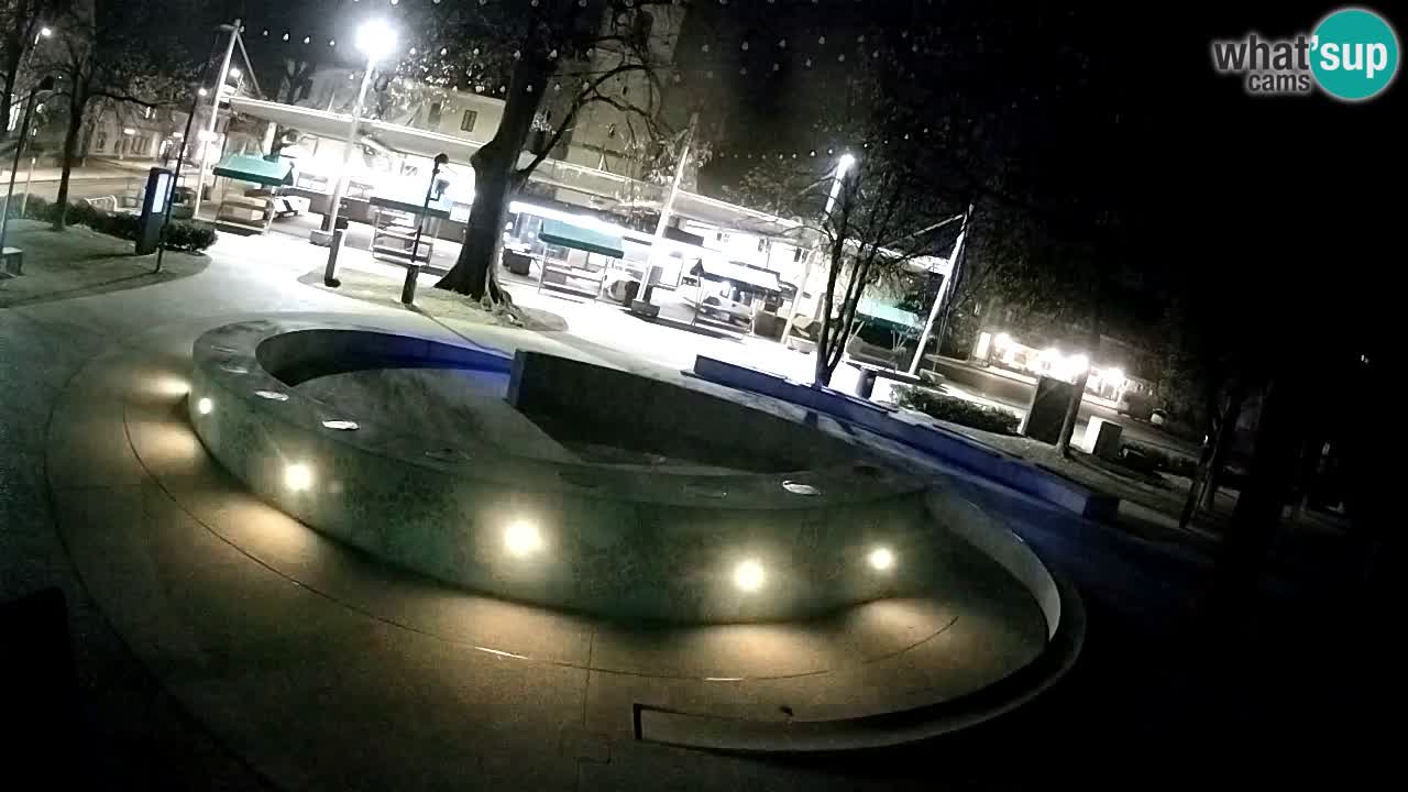 Fontaine à bière LIVE webcam – Or vert – Žalec