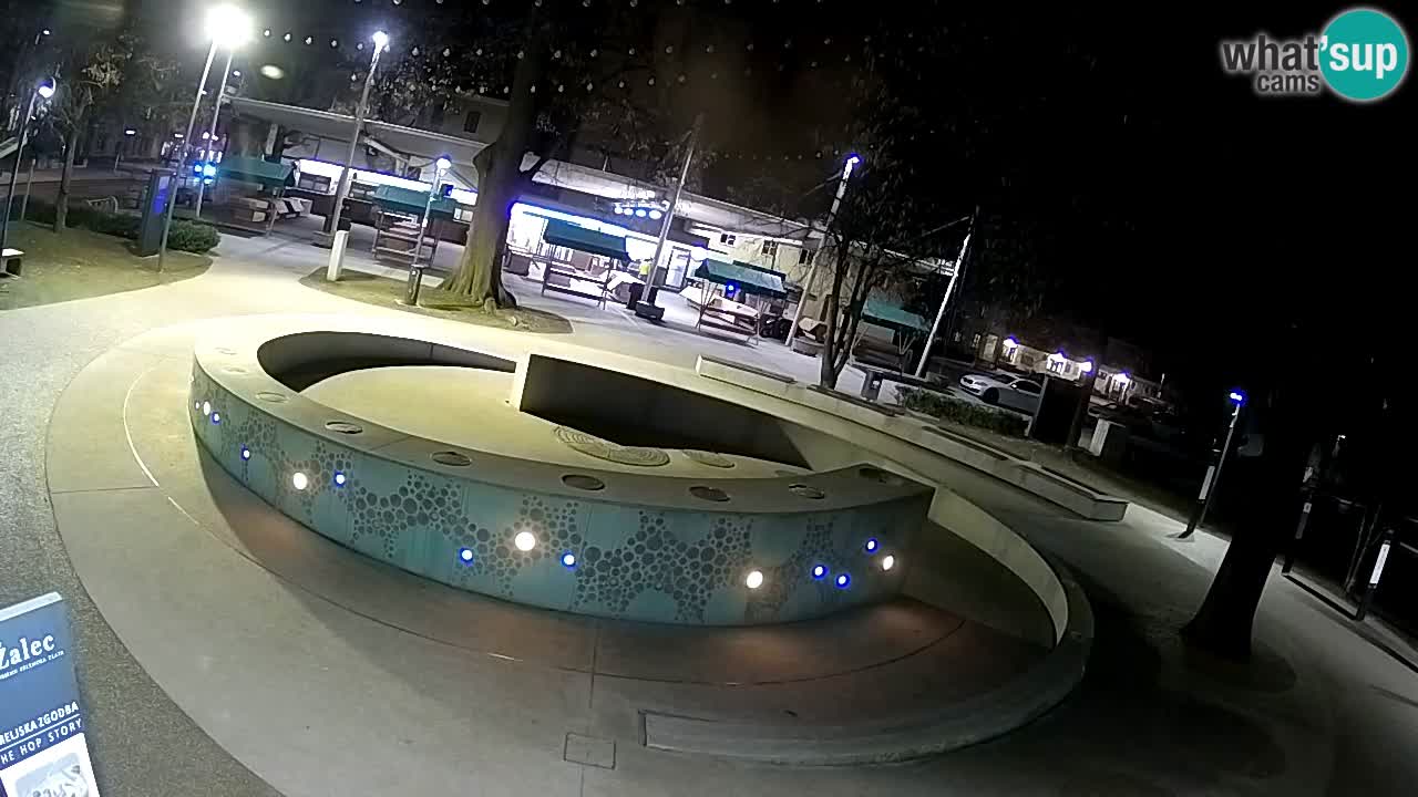 Spletna kamera Fontana Piv – Zeleno zlato Žalec