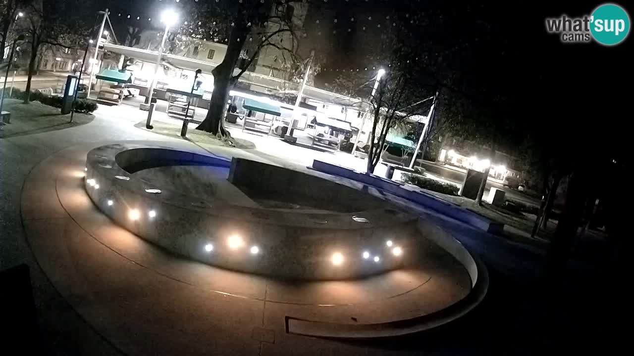 Fontana di birra Webcam – Oro verde – Žalec