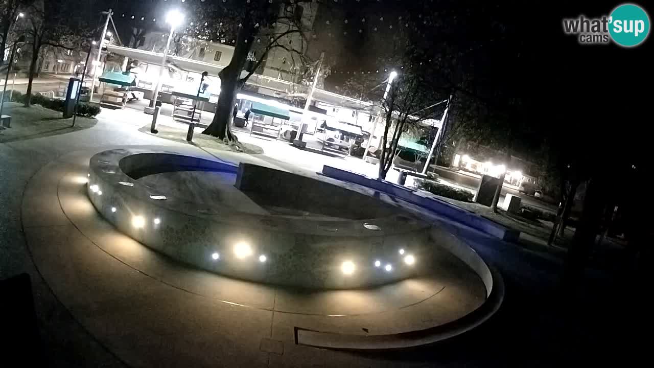 Fontaine à bière LIVE webcam – Or vert – Žalec