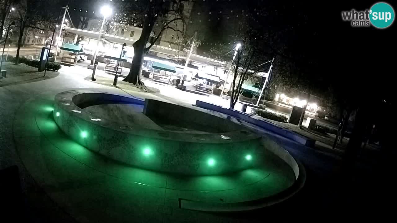 Fontaine à bière LIVE webcam – Or vert – Žalec