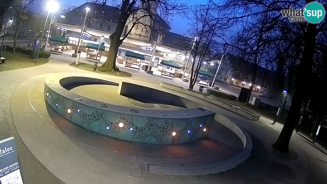Bier-Springbrunnen Webcam Žalec – Grünen Goldes