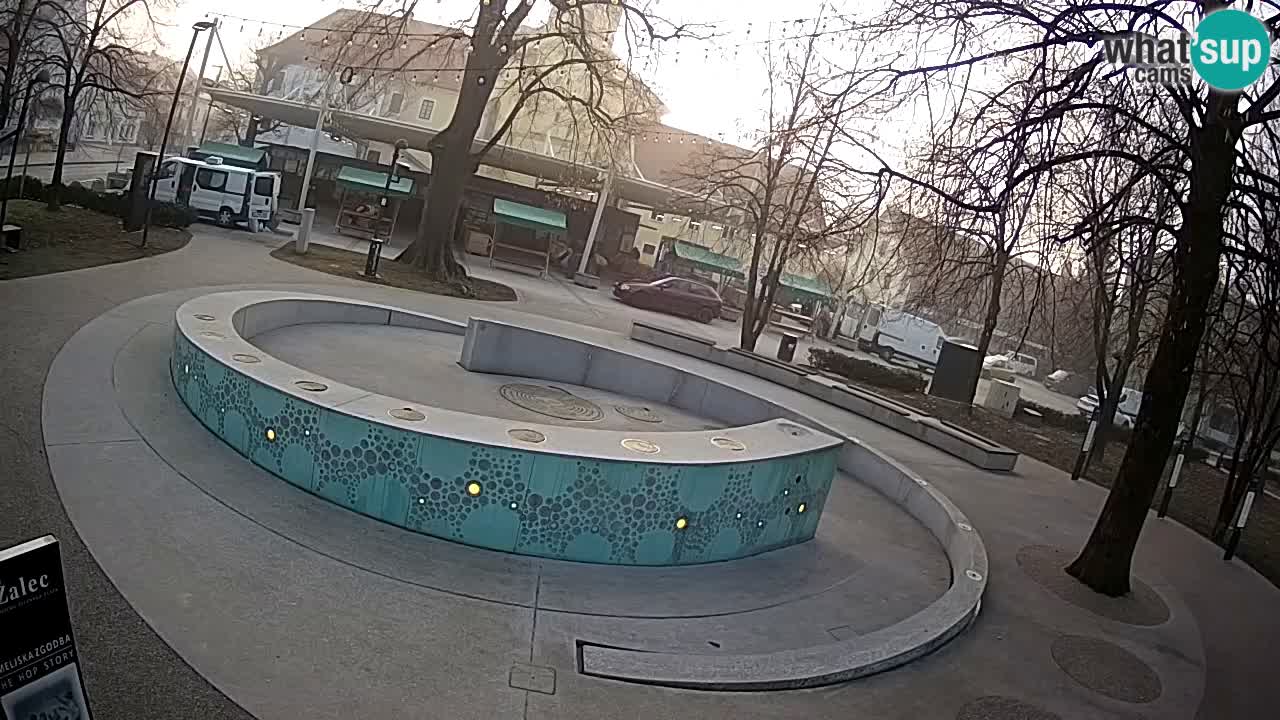 Bier-Springbrunnen Webcam Žalec – Grünen Goldes