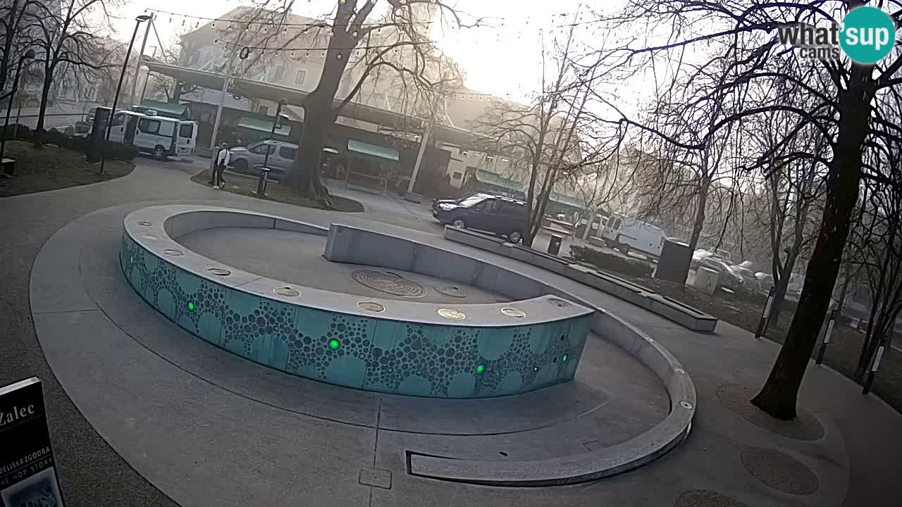 Bier-Springbrunnen Webcam Žalec – Grünen Goldes