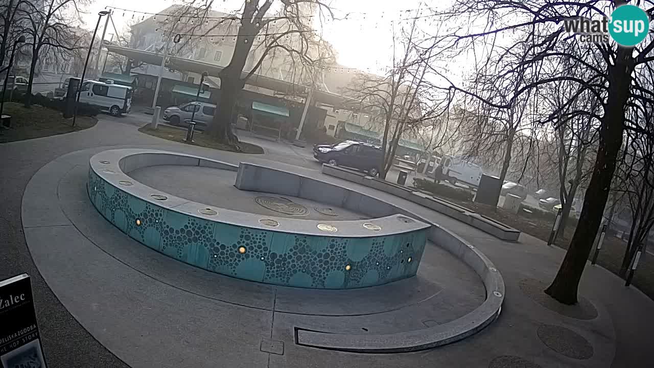 Bier-Springbrunnen Webcam Žalec – Grünen Goldes
