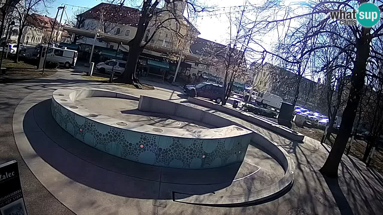 Fontaine à bière LIVE webcam – Or vert – Žalec