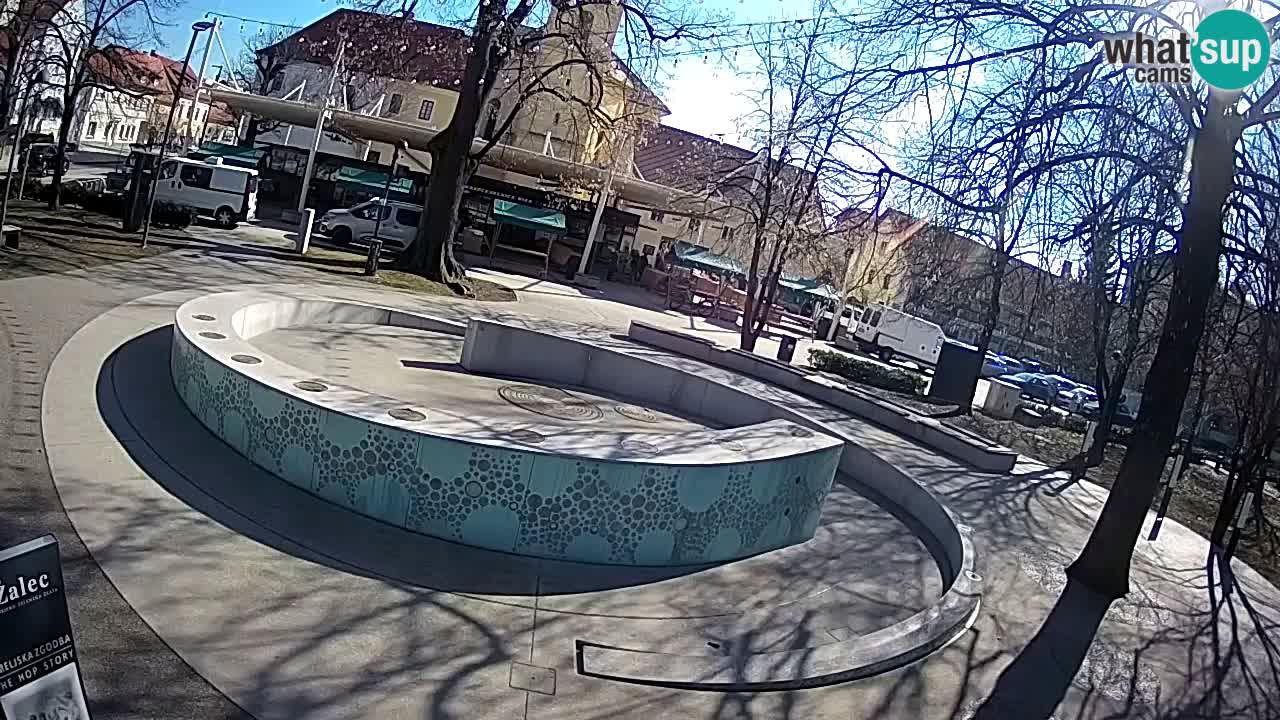 Web kamera Fontana piva – Zeleno zlato – Žalec