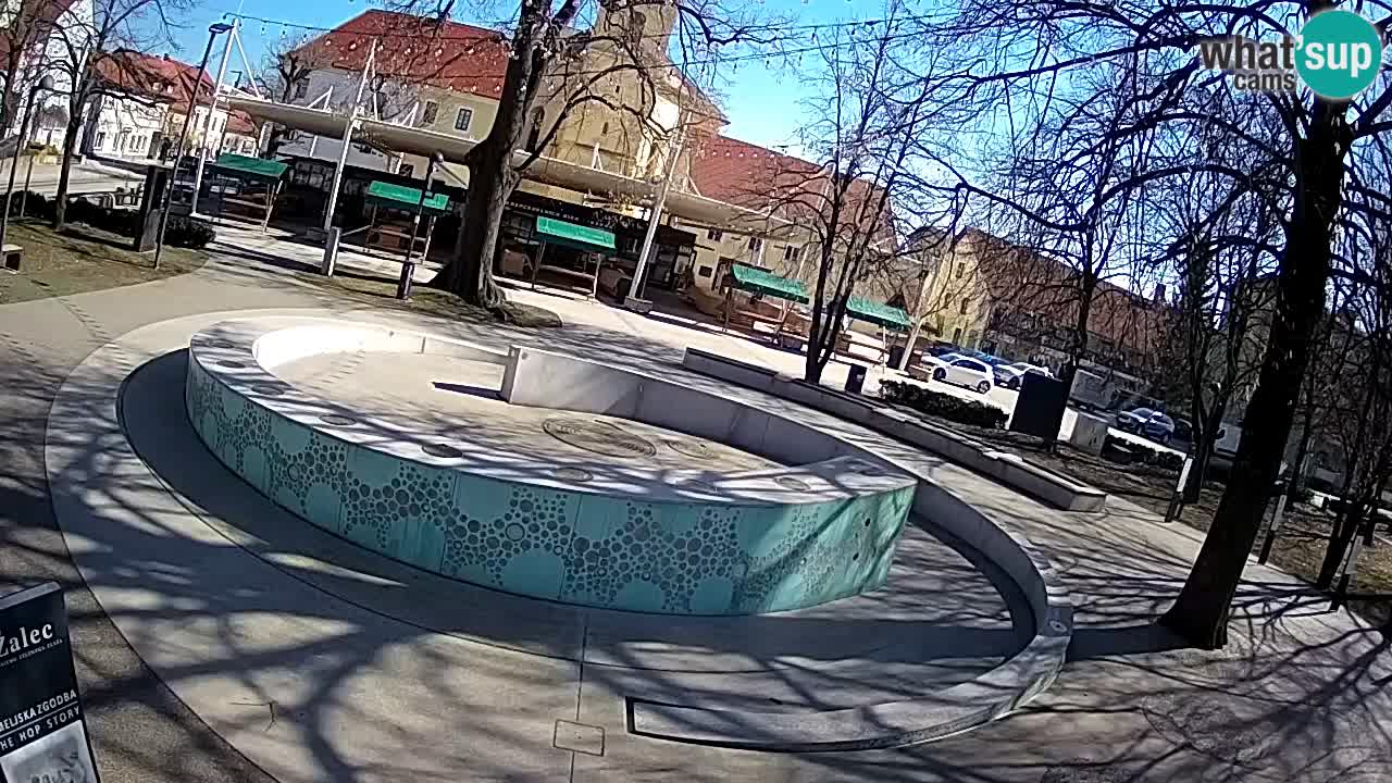 Spletna kamera Fontana Piv – Zeleno zlato Žalec