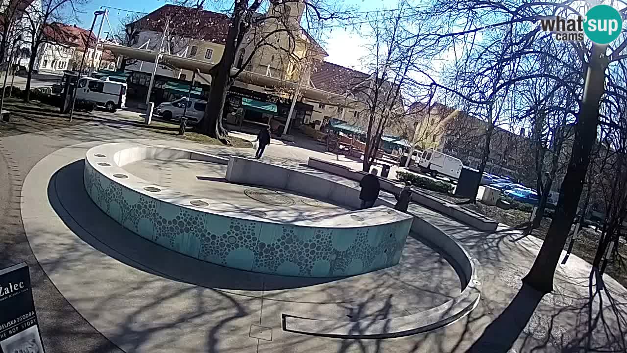 Fontana di birra Webcam – Oro verde – Žalec