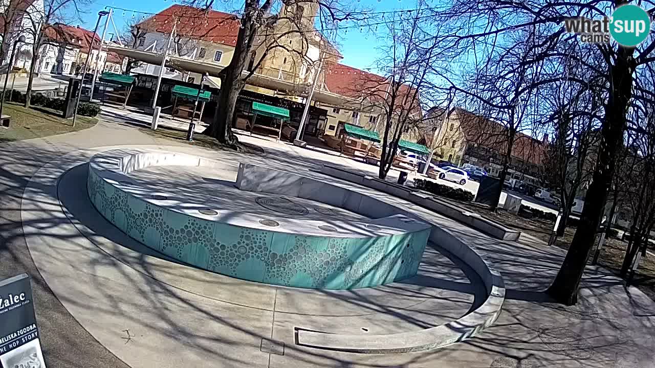 Spletna kamera Fontana Piv – Zeleno zlato Žalec