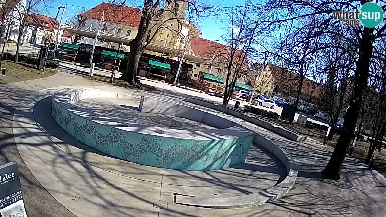 Bier-Springbrunnen Webcam Žalec – Grünen Goldes