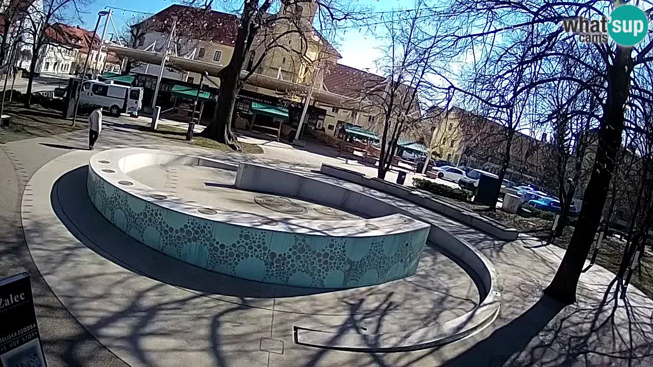 Spletna kamera Fontana Piv – Zeleno zlato Žalec