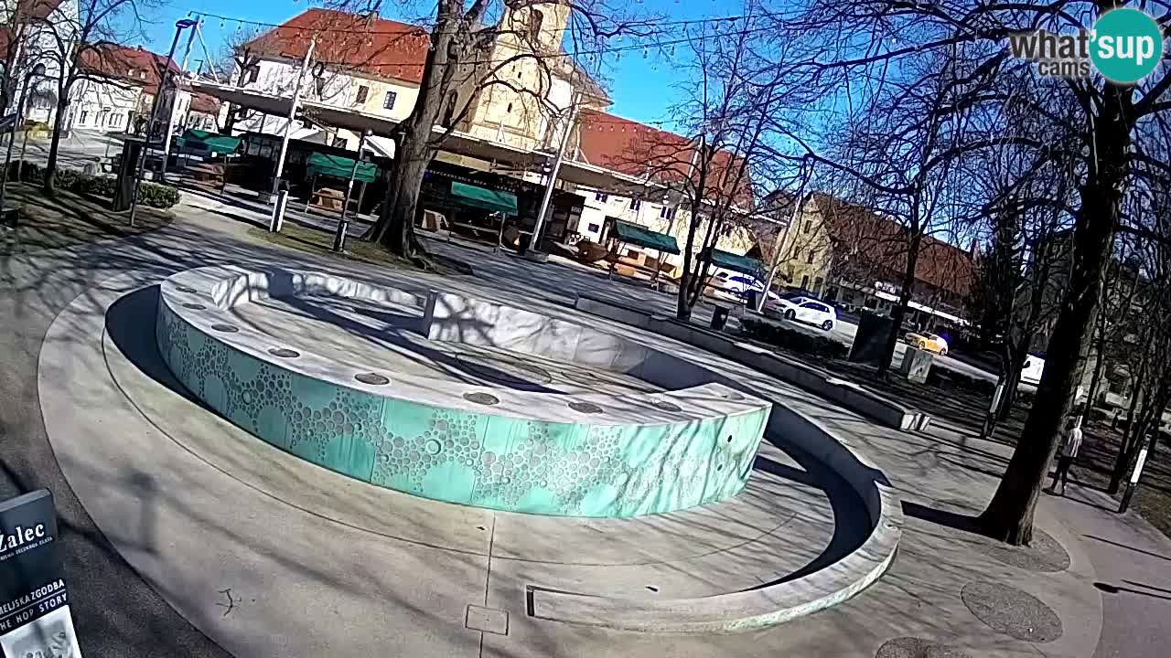 Spletna kamera Fontana Piv – Zeleno zlato Žalec