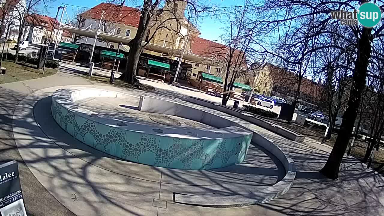 Fontana di birra Webcam – Oro verde – Žalec