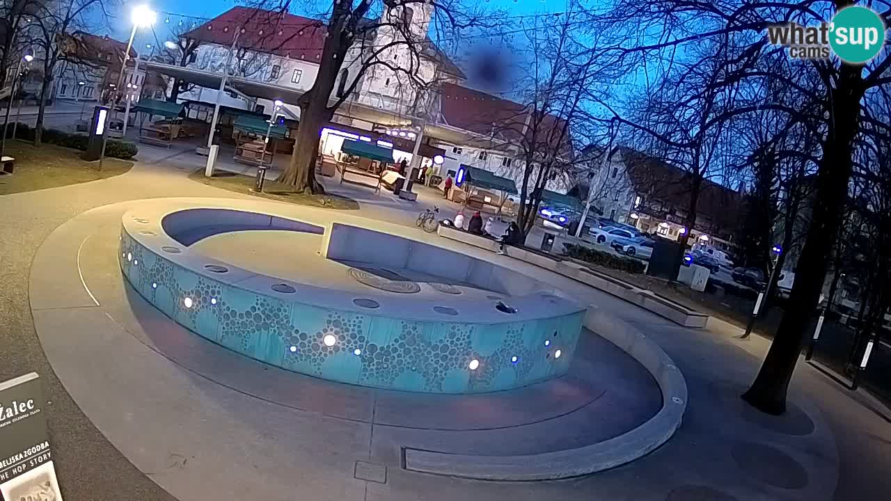 Spletna kamera Fontana Piv – Zeleno zlato Žalec