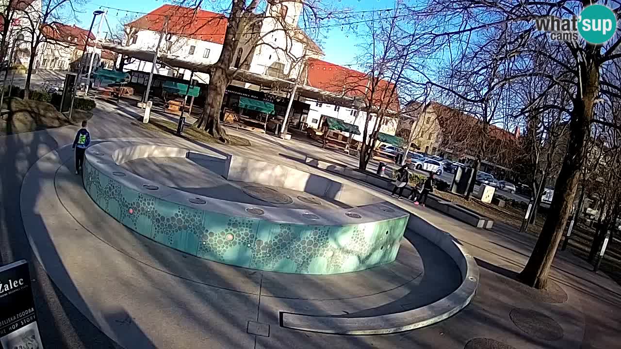 Camera en vivo Fuente de cerveza – Oro verde – Žalec