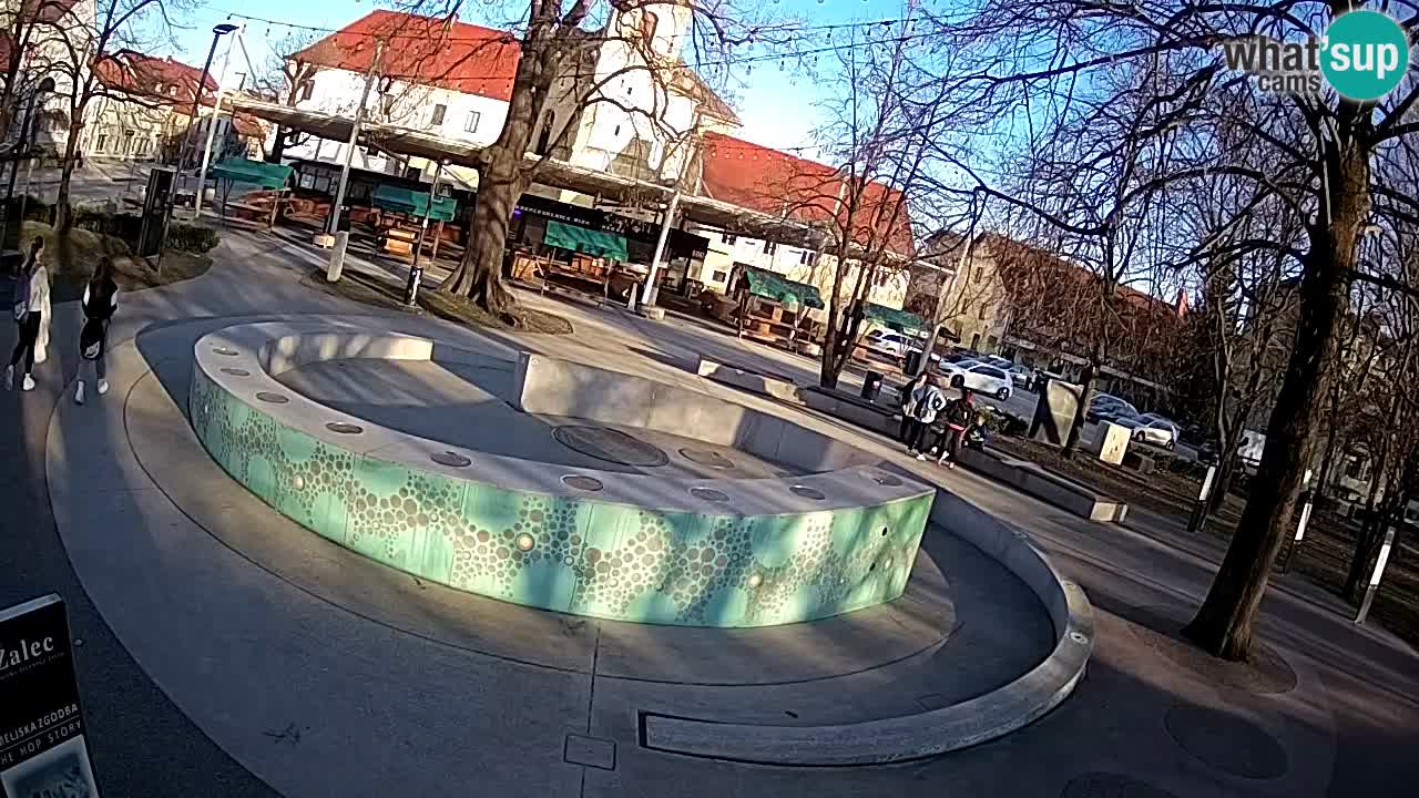 Spletna kamera Fontana Piv – Zeleno zlato Žalec