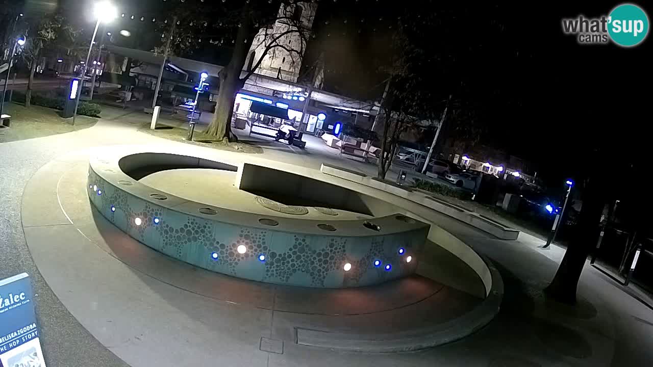 Fontaine à bière LIVE webcam – Or vert – Žalec