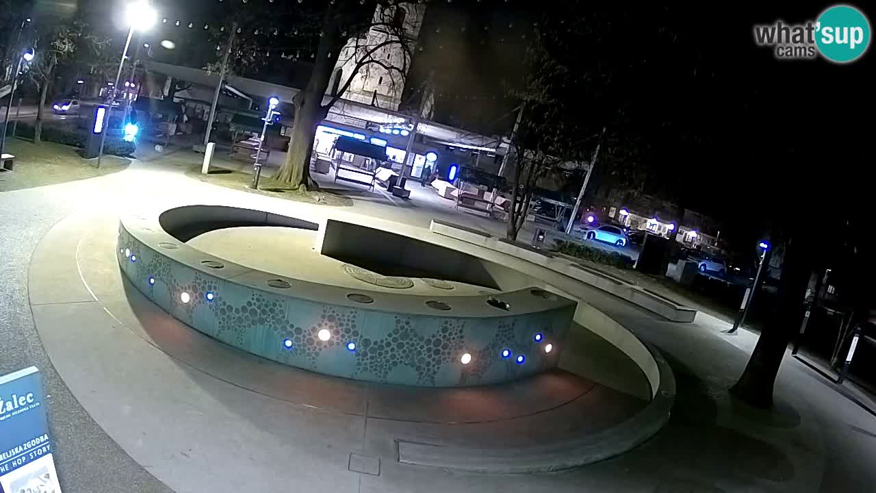 Bier-Springbrunnen Webcam Žalec – Grünen Goldes