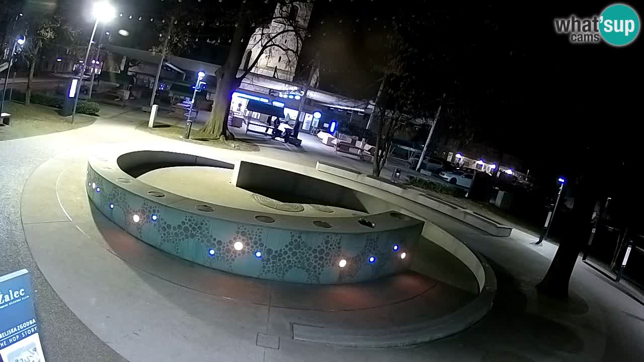 Spletna kamera Fontana Piv – Zeleno zlato Žalec