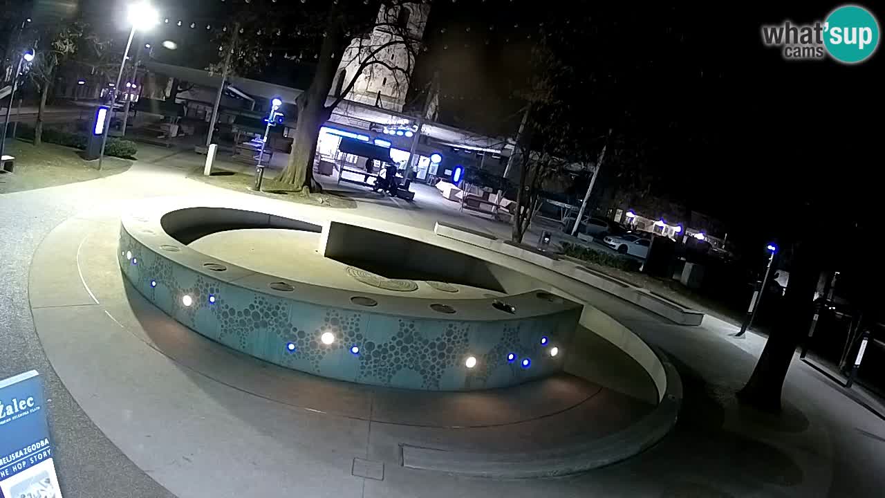 Spletna kamera Fontana Piv – Zeleno zlato Žalec