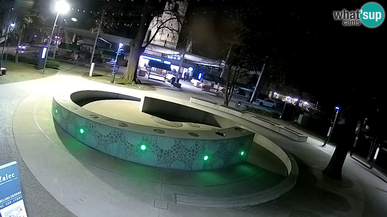 Fontaine à bière LIVE webcam – Or vert – Žalec
