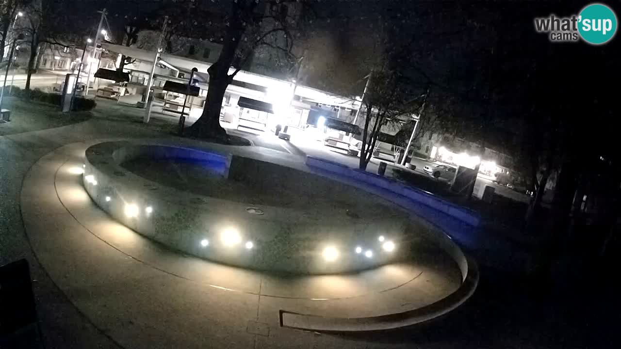 Fontana di birra Webcam – Oro verde – Žalec