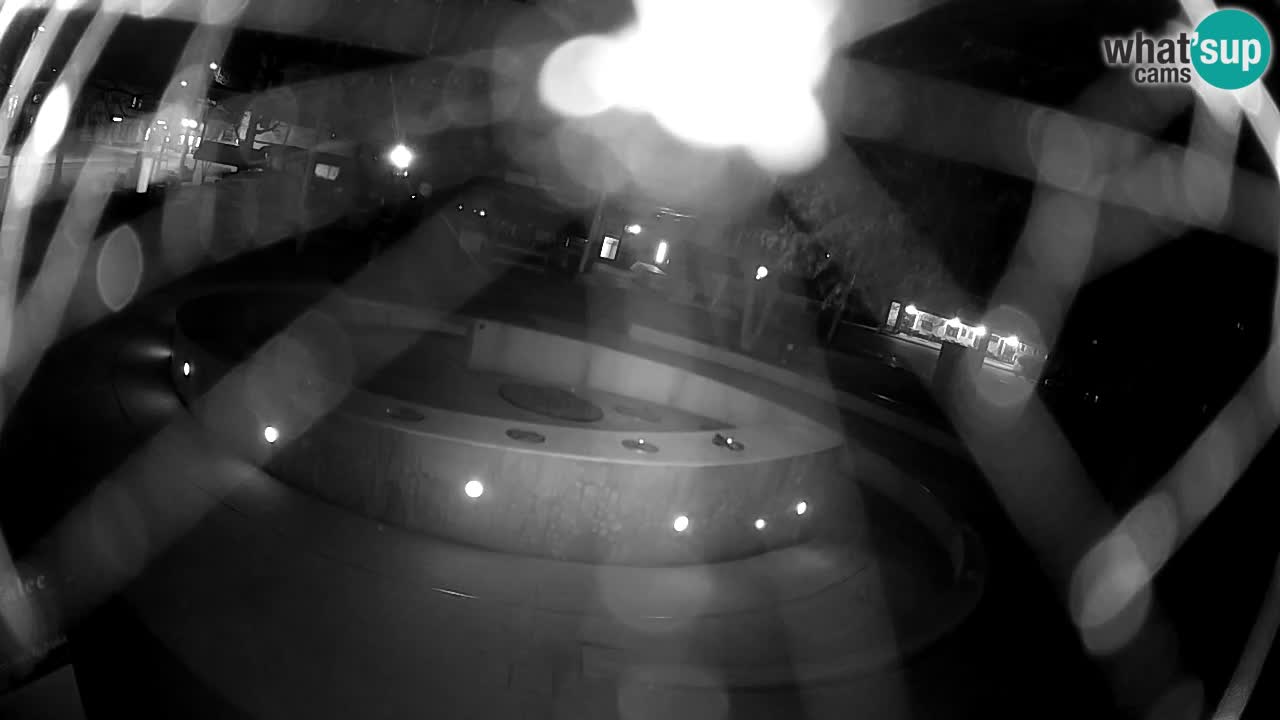 LIVEcam Beer fountain – Green Gold – Žalec – Slovenia