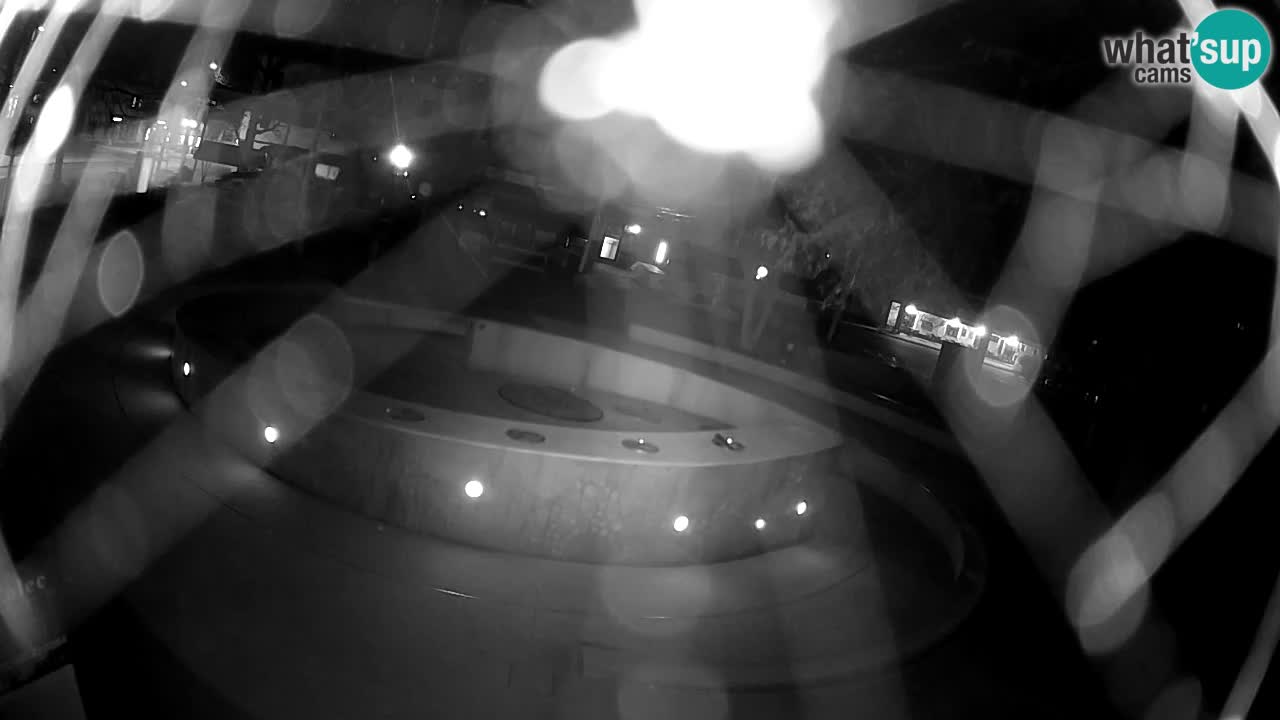 Bier-Springbrunnen Webcam Žalec – Grünen Goldes