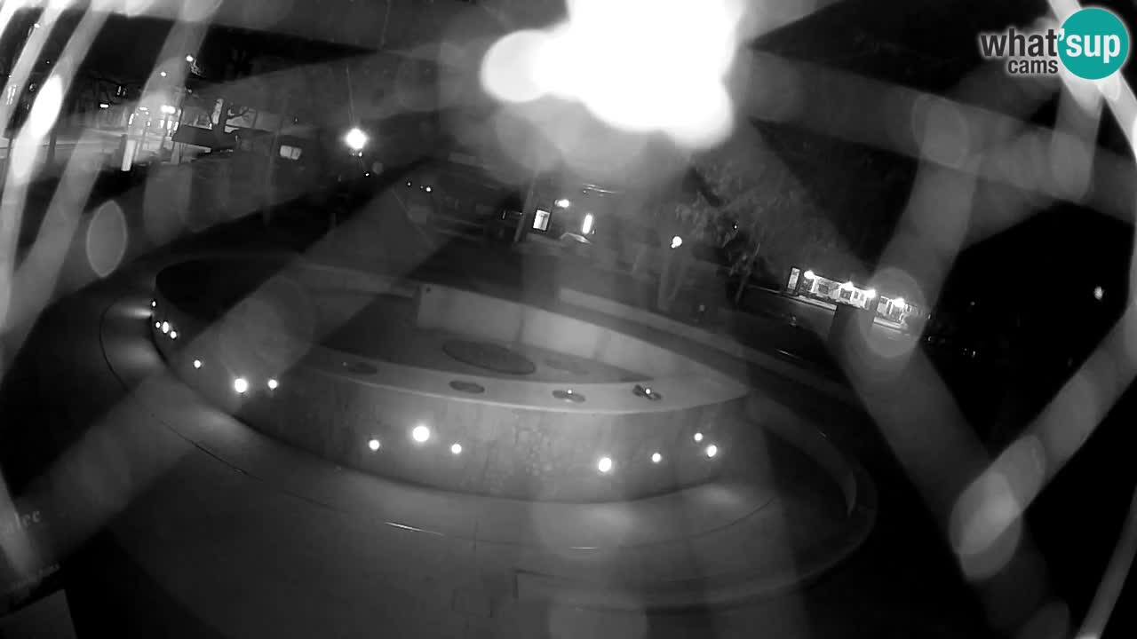 Fontaine à bière LIVE webcam – Or vert – Žalec