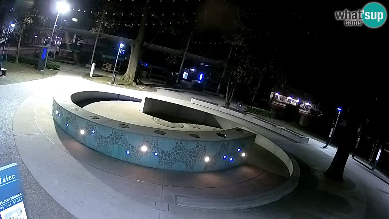 Fontana di birra Webcam – Oro verde – Žalec