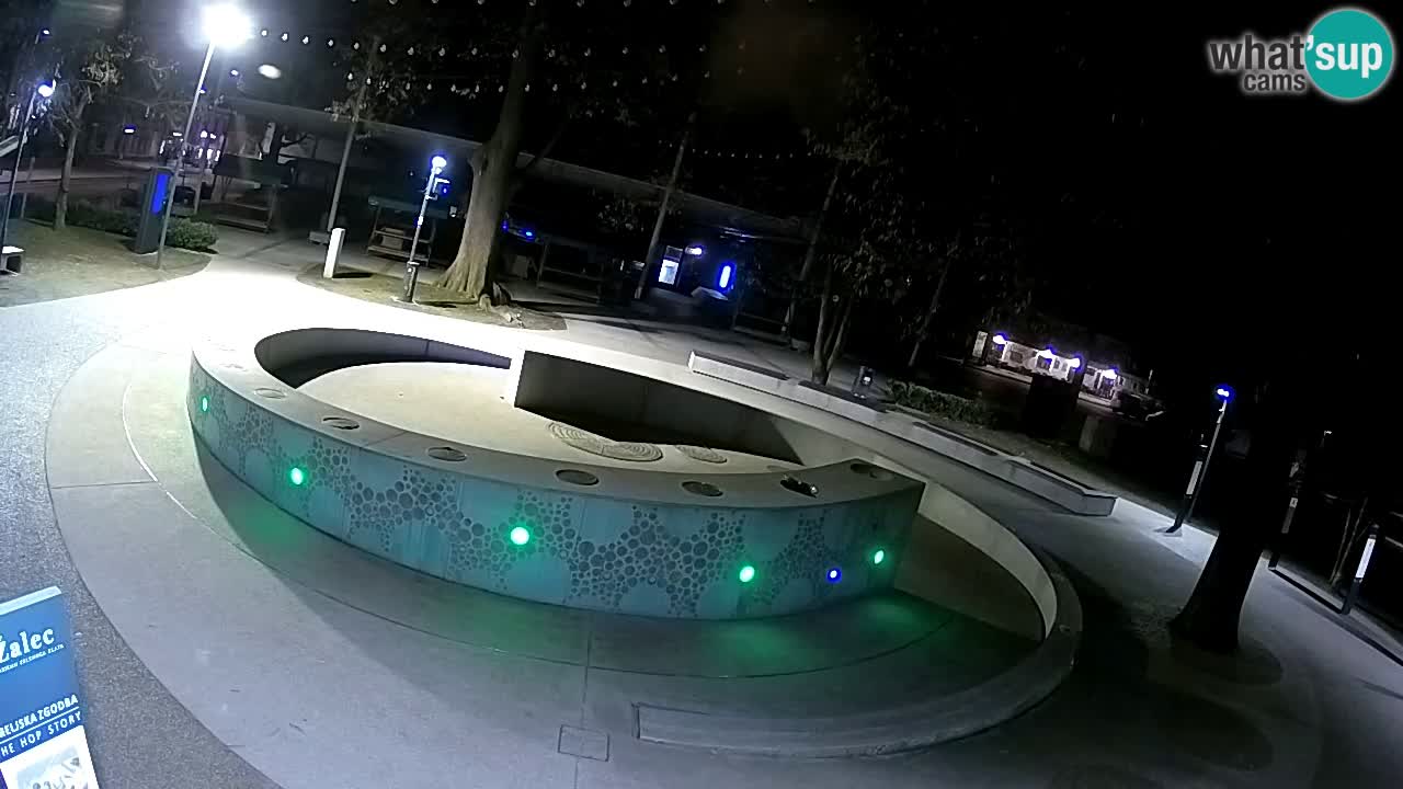 Fontaine à bière LIVE webcam – Or vert – Žalec