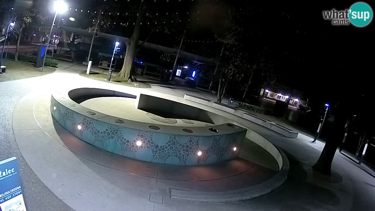 Web kamera Fontana piva – Zeleno zlato – Žalec