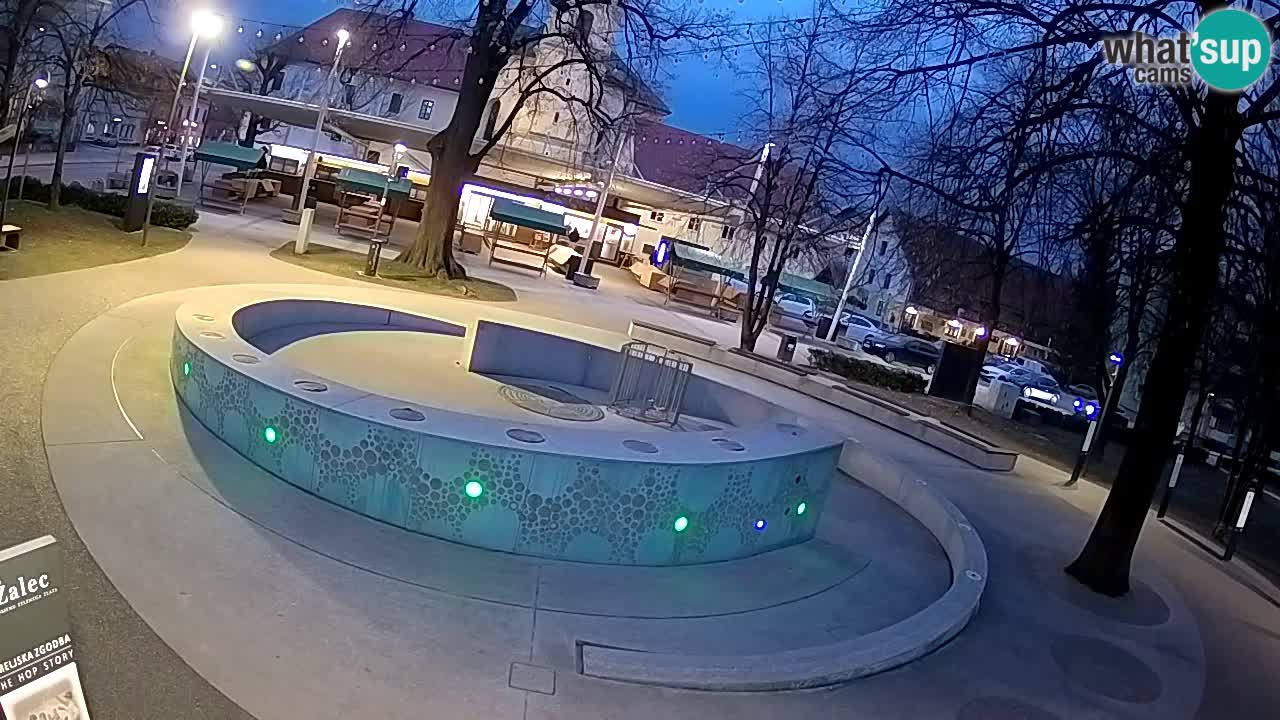 Spletna kamera Fontana Piv – Zeleno zlato Žalec