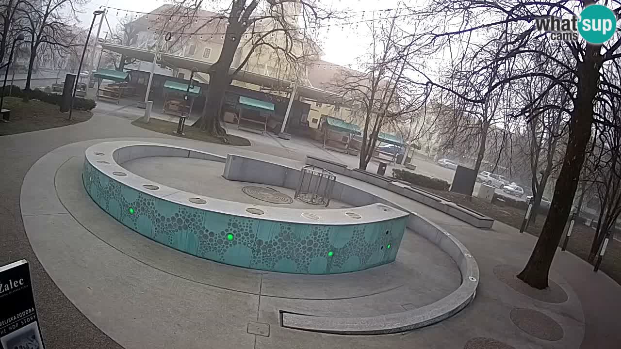 Web kamera Fontana piva – Zeleno zlato – Žalec