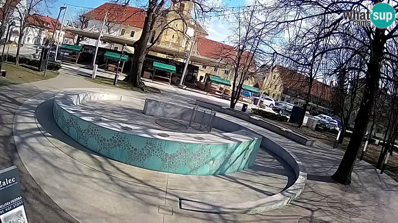 Fontana di birra Webcam – Oro verde – Žalec