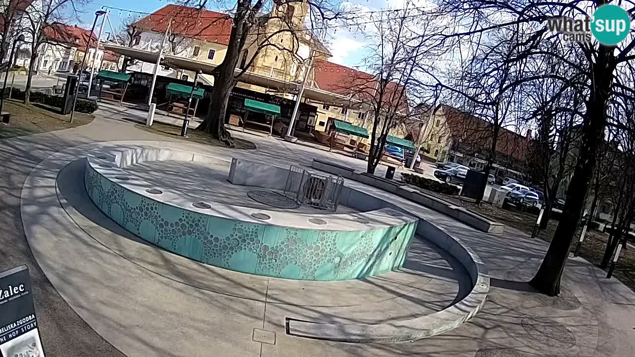 Bier-Springbrunnen Webcam Žalec – Grünen Goldes