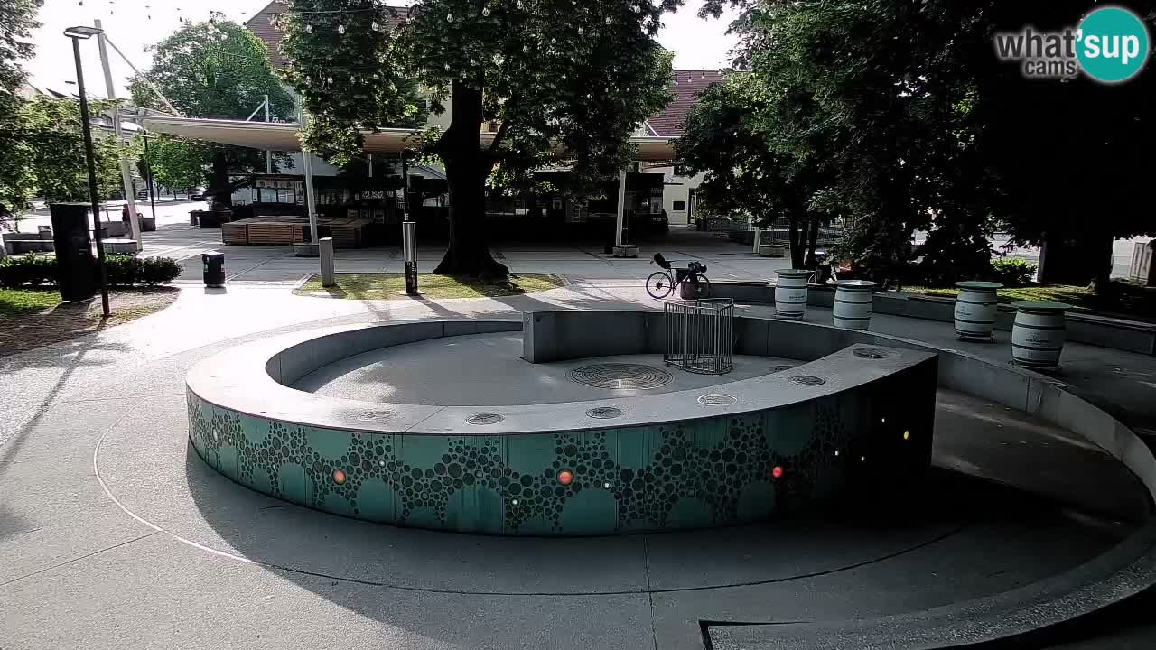 Fontaine à bière LIVE webcam – Or vert – Žalec