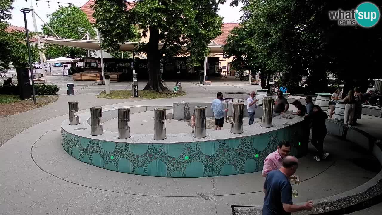 Fontana di birra Webcam – Oro verde – Žalec