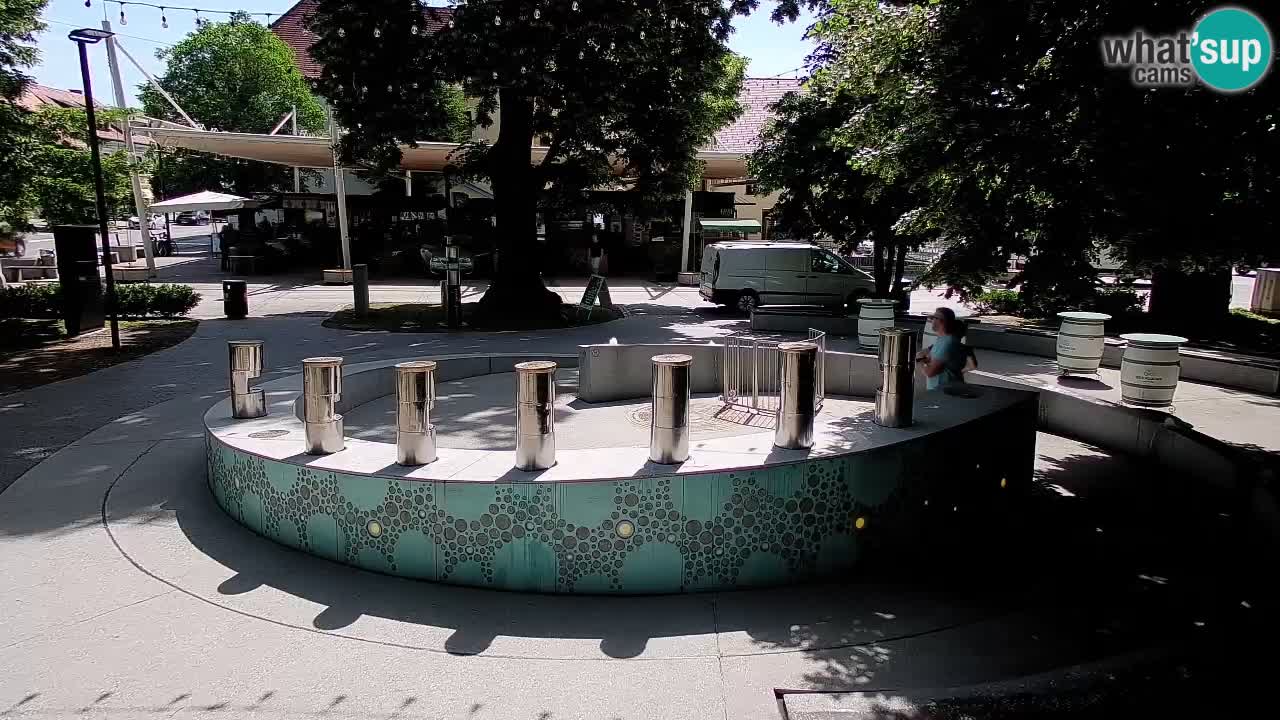 Fontaine à bière LIVE webcam – Or vert – Žalec