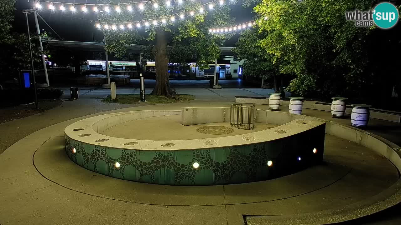 Bier-Springbrunnen Webcam Žalec – Grünen Goldes