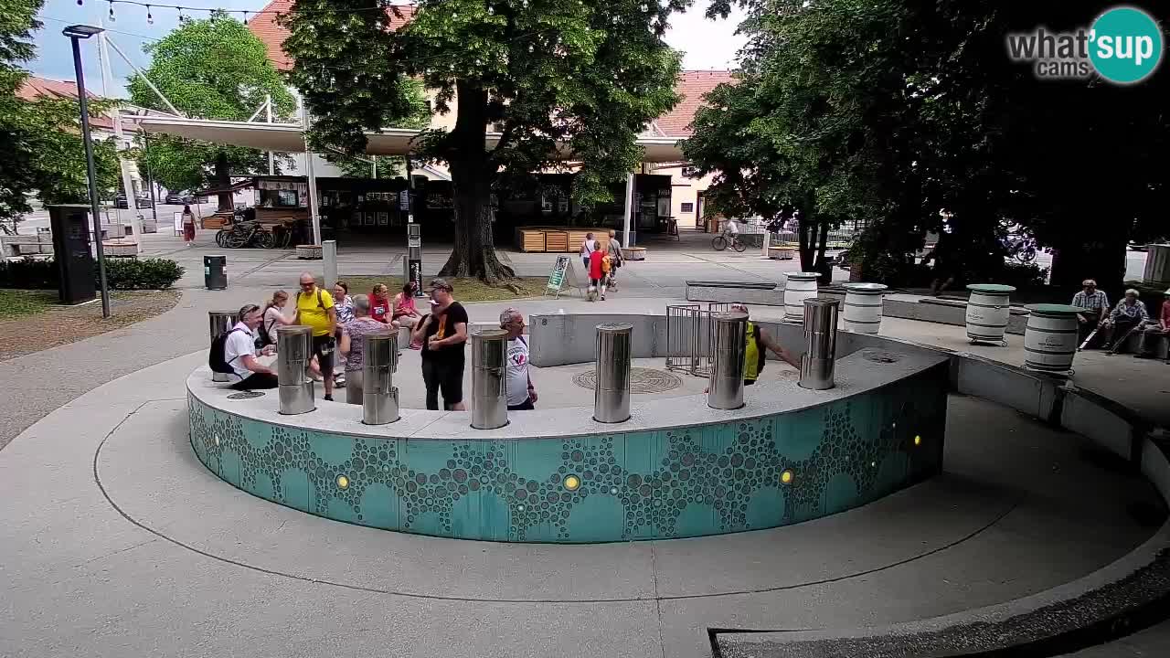 Web kamera Fontana piva – Zeleno zlato – Žalec