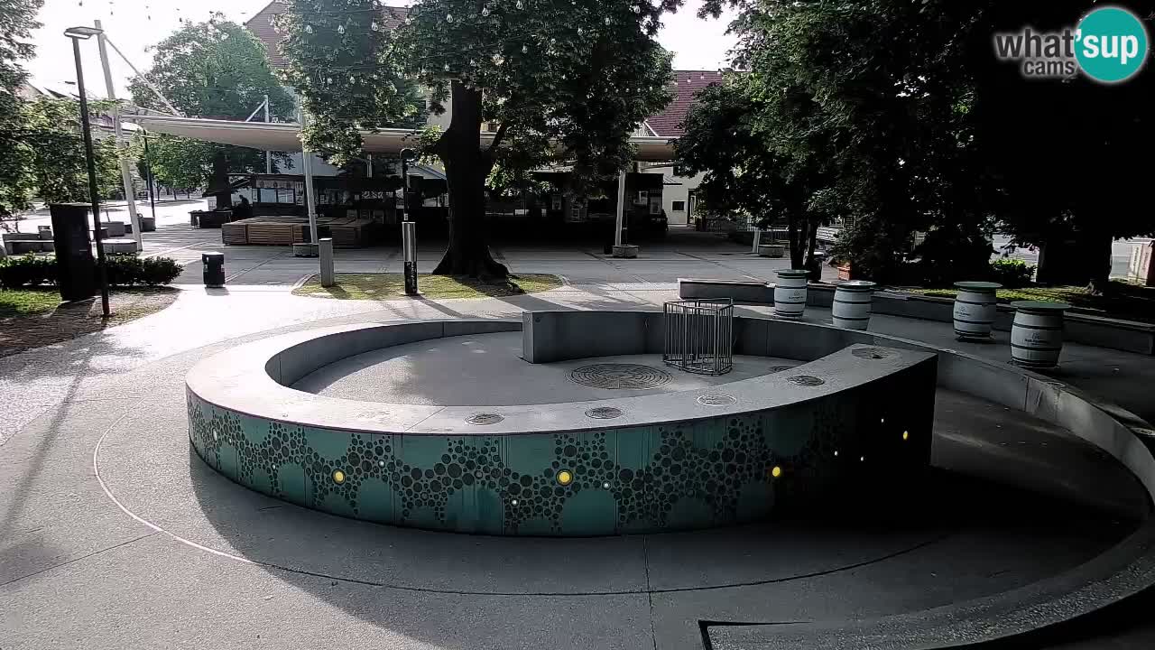 Bier-Springbrunnen Webcam Žalec – Grünen Goldes