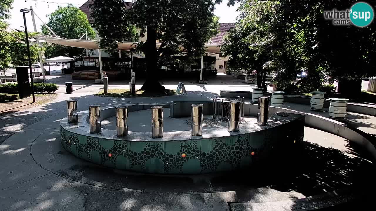 Bier-Springbrunnen Webcam Žalec – Grünen Goldes