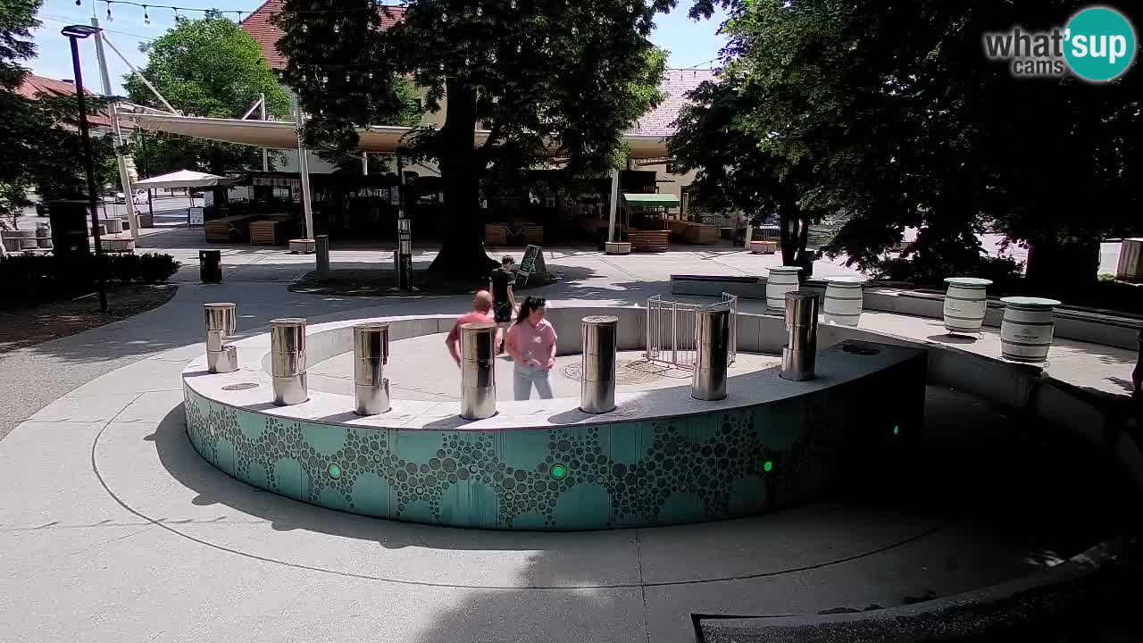 Fontana di birra Webcam – Oro verde – Žalec
