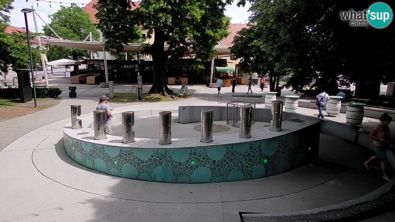 Web kamera Fontana piva – Zeleno zlato – Žalec